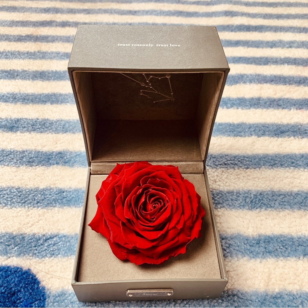 Everlasting Single rose (real rose never dies)